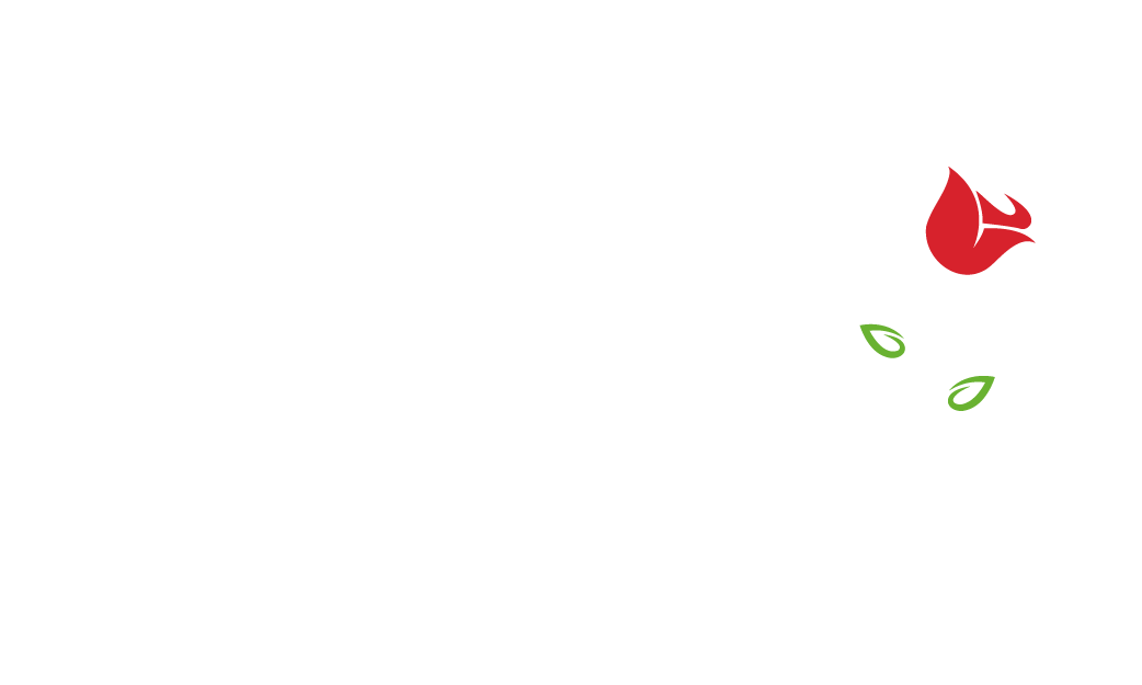 light logo